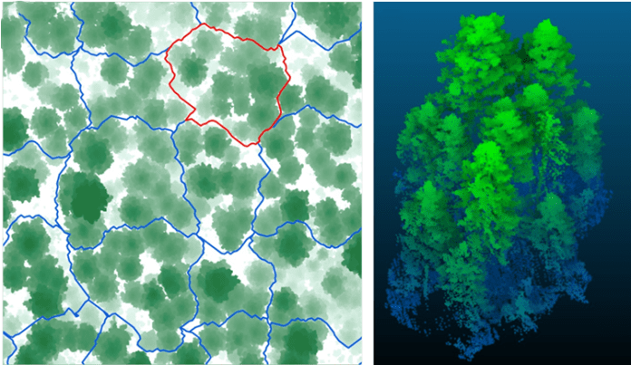 illustration of tree segmentation